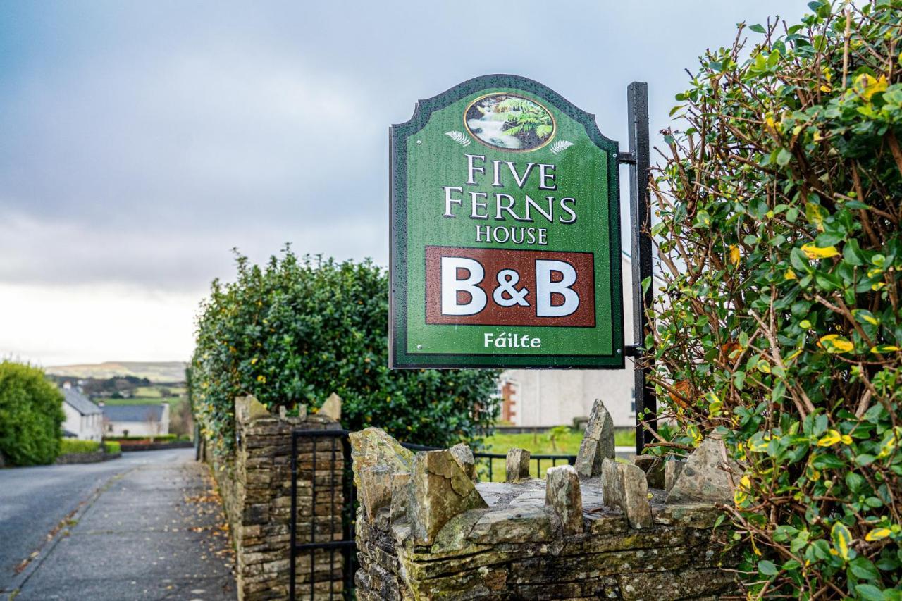 Five Ferns House Bed & Breakfast Westport Bagian luar foto