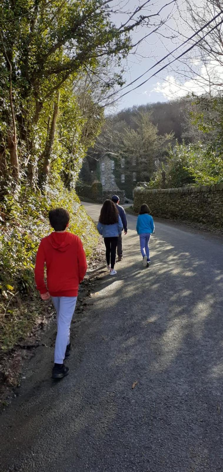 Five Ferns House Bed & Breakfast Westport Bagian luar foto